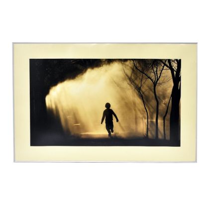 AF203 - Tablou cu Rama din aluminiu 60x40cm