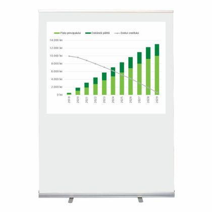 Projection Screen RollUp type