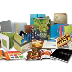 Printed materials (flyers, leaflets, brochures)