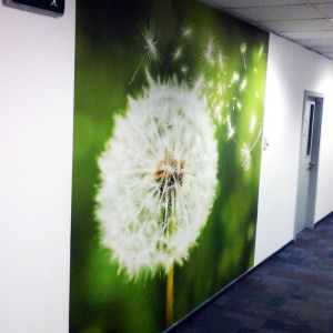  Printed HP Self-Adhesive Wallpaper (price per sqm* )