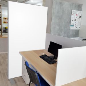 Frameless Office Partition