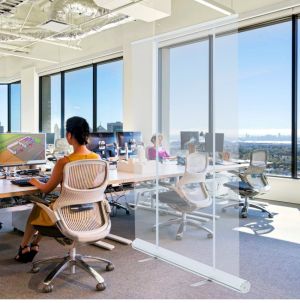 RollUp Banner Office Partition