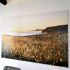  Frameless Fabric Display