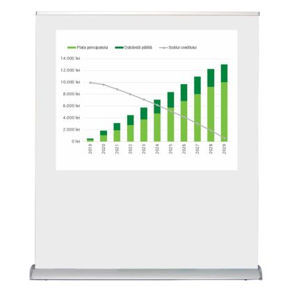 Projection Screen RollUp type