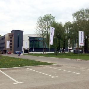 Rectangular Flag 600 renting